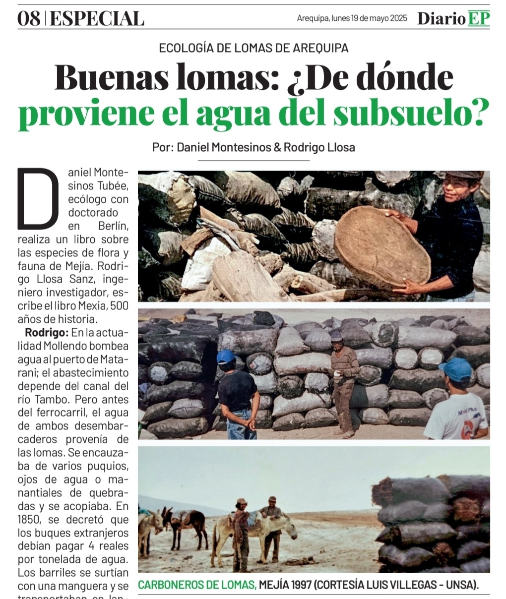 Buenas lomas: ¿De dónde proviene el agua del subsuelo?