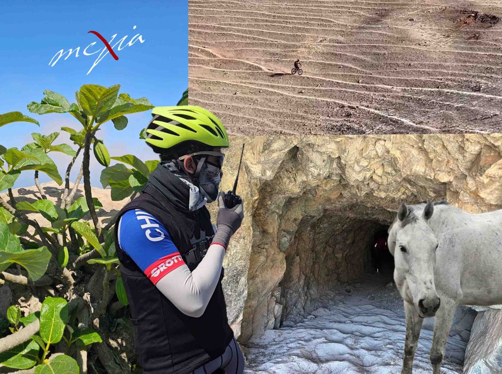 Caballo Blanco, minería y reforestación en Islay