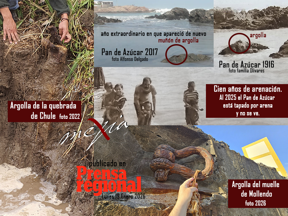 Argollas de Mejía y Mollendo, puerto de Chule, Rodrigo Llosa Sanz