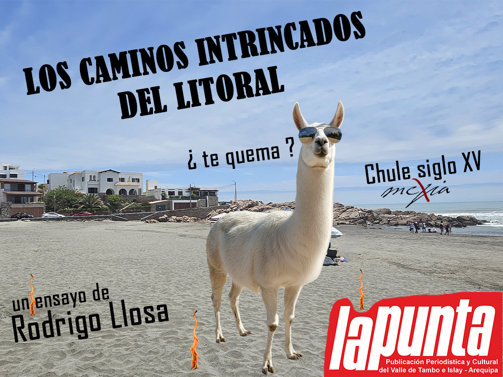 Historia de los caminos y carreteras de Arequipa. Los caminos intrincados del litoral, Chule siglo XV, Llamas en la playa, Rodrigo Llosa