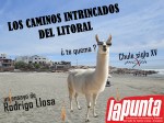 Historia de los caminos y carreteras de Arequipa. Los caminos intrincados del litoral, Chule siglo XV, Llamas en la playa, Rodrigo Llosa